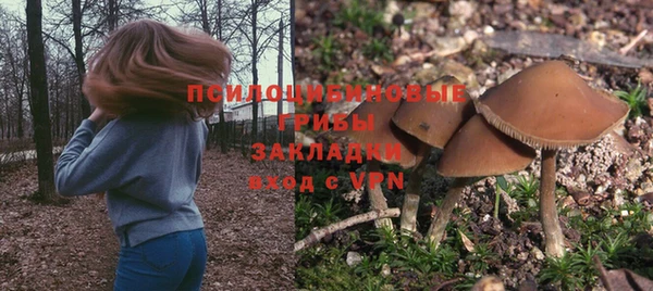 гидра Абаза