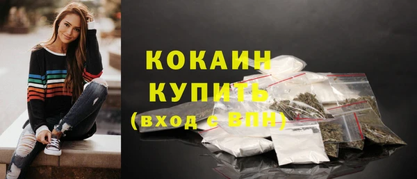 индика Покачи