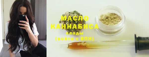 гидра Абаза