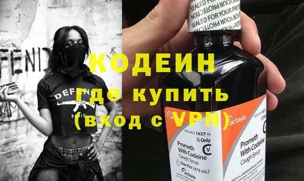 хмурый Алексин