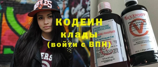 трава Ельня