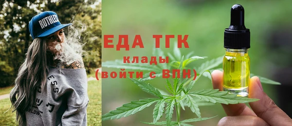 хмурый Алексин
